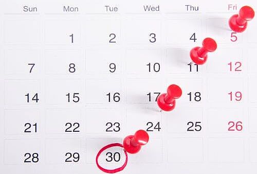 Termine der Infoveranstaltungen für Interessierte